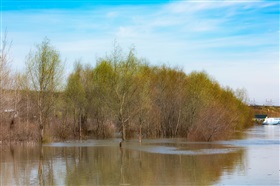 Appel à projets - « Résilience, Biodiversité, Climat »