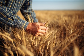 TVA : le régime agricole est-il envisageable pour une autorité publique ?