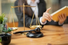 Nouveaux critères de résilience pour les marchés publics « zéro net »